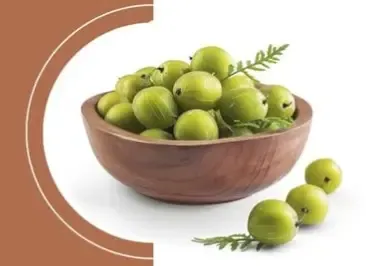 क्या सर्दी, गर्मी और बरसात में आंवला है ‘रसायनों का राजा’?