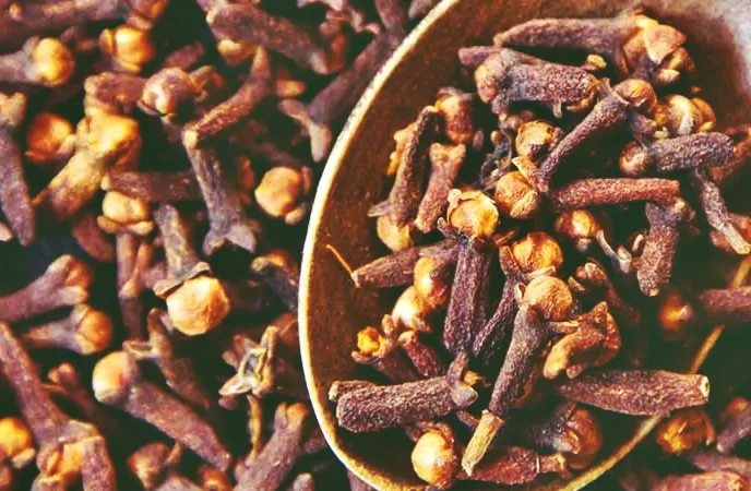 क्या लौंग इम्यून सिस्टम को बूस्ट और पाचन तंत्र को दुरुस्त करती है?