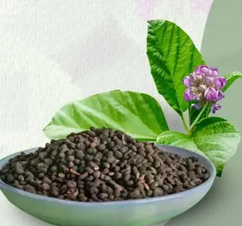 क्या त्वचा रोगों और डैंड्रफ के लिए कारगर है औषधीय गुणों से भरपूर बाकुची?