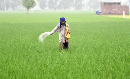 क्या तेलंगाना में यूरिया की कमी है? मंत्री ने किसानों को दिया भरोसा