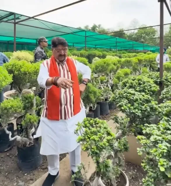 All Saplings Under 'Ek Ped Maa Ke Naam' in Indore Thriving: Kailash Vijayvargiya