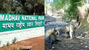 Pioneering Animal Protection: PM Modi Welcomes India's 58th Tiger Reserve