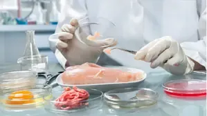 APAC region sees rise in demand for lab-grown meat: Report