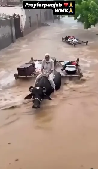 क्या सरगुन मेहता बाढ़ पीड़ितों की मदद के लिए आगे आईं?