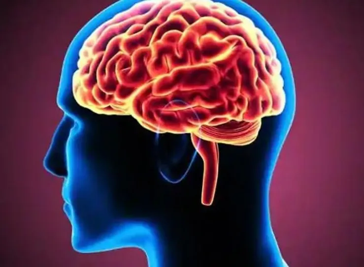 क्या बचपन में अंधेपन की समस्या दिमाग से जुड़ी हो सकती है?