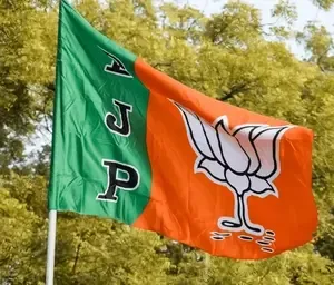 BJP distances itself from party MPs' remarks on judiciary