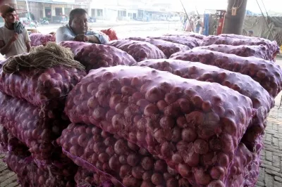 Will the Centre Start Releasing Onion From 3 Lakh Tonnes Buffer Stock Next Month to Control Prices?