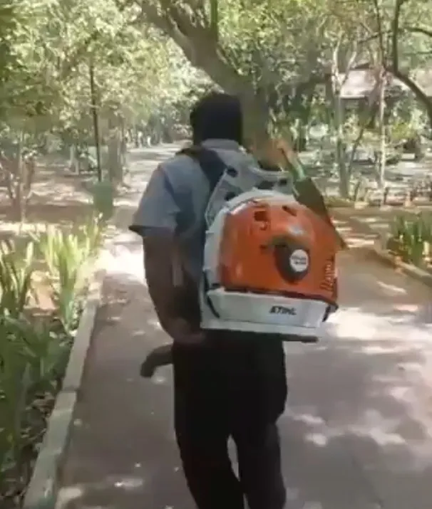 How is Chennai Tackling the Surge in Dengue Cases?