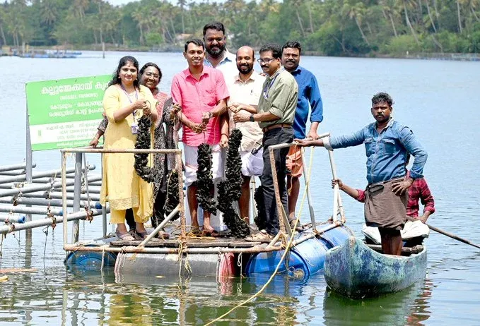 How Successful is CMFRI's Mussel Farming Project?