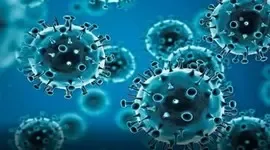 Is the Covid Situation Being Monitored? Health Experts Say No Need to Panic