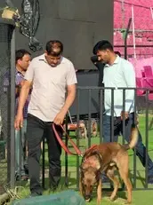 क्या दिल्ली के 20 कॉलेजों को बम से उड़ाने की धमकी दी गई?