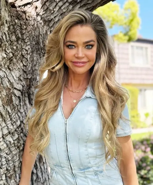 What Serious Allegations Did Denise Richards Make Against Aaron Phypers?