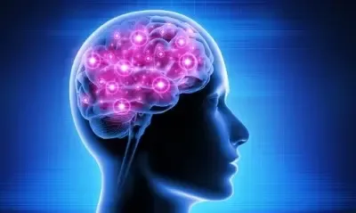 Elevated Glucose and Inflammation Linked to Accelerated Brain Aging and Higher Dementia Risk: Research
