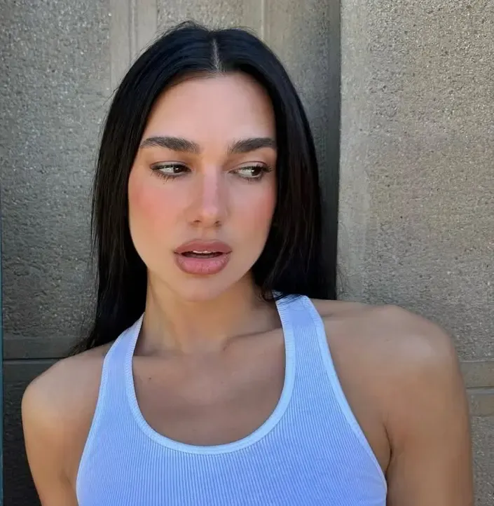 Dua Lipa Alarmed as Fans Breach Hotel Security