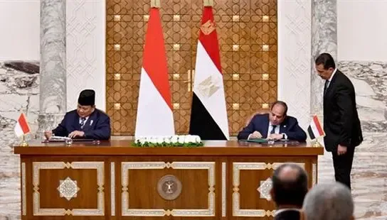 Leaders from Egypt and Indonesia Discuss Gaza Conflict and Strategic Partnership