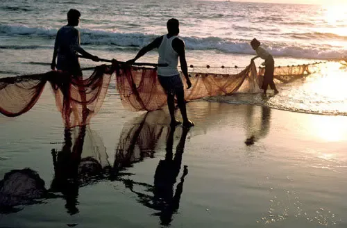 Sri Lankan Navy Detains Eight Fishermen from Tamil Nadu, Confiscates Boats