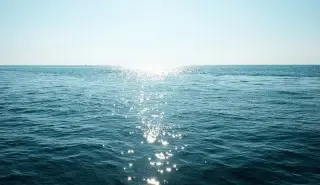 Study Reveals Marine Heatwaves Have Tripled in 80 Years