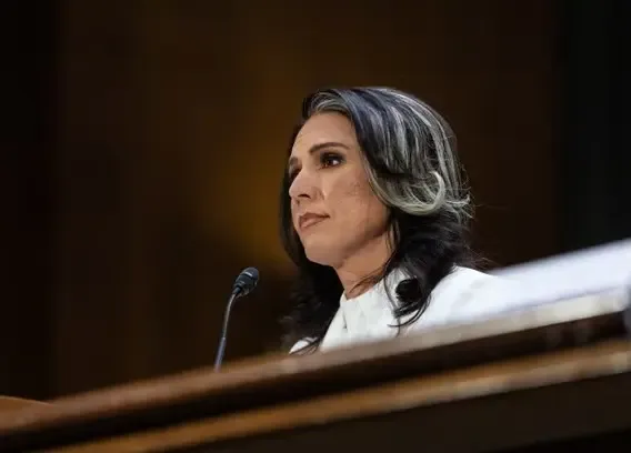 Gabbard Claims Independence, Expresses Disdain for al Qaeda