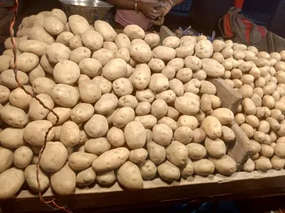 Is Gujarat Leading the Charge in Processed Potato Production?
