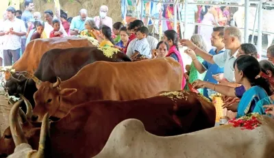 क्या जीएसटी में बदलाव सहकारी क्षेत्र और 10 करोड़ डेयरी किसानों को बढ़ावा देगा?