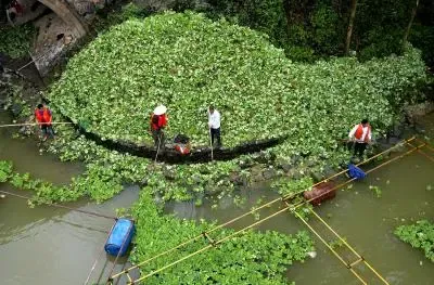 क्या केरल में रैट फीवर और अमीबिक मेनिंगोएनसेफेलाइटिस का खतरा बढ़ रहा है?