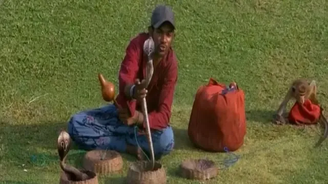 क्या श्रीलंका बनाम बांग्लादेश का ‘नागिन डर्बी’ प्रशंसकों के लिए अद्भुत अनुभव था?