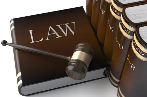 Historic Election of All-Women Panel at Pala Bar Association in Kerala