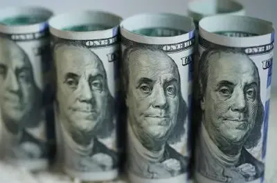 India's Forex Reserves Experience Largest Increase in Two Years