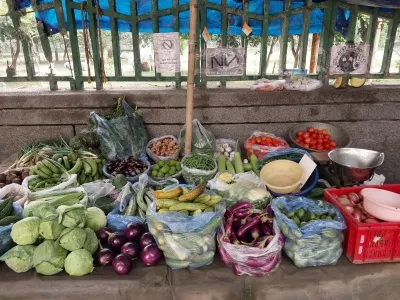 Retail Inflation in India Drops to 3.6% in February, a 7-Month Low