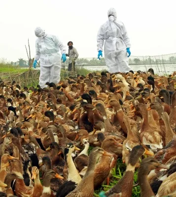 Infectious animal diseases migrating to new species, about half raise threat to humans: Report