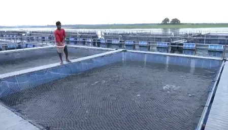 How is the PM Matsya Sampada Yojana Changing Farmers' Lives in Jharkhand?