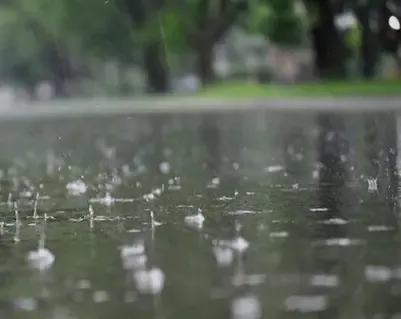 Forecast of Light to Moderate Rain in Tamil Nadu for Two Days