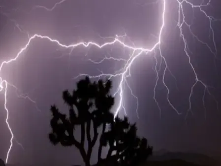 Lightning strike claims one life in Madhya Pradesh's Sehore; two injured
