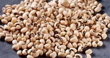 क्या लोबिया वजन घटाने में मददगार है? वैज्ञानिक रिसर्च में सामने आए कई फायदे
