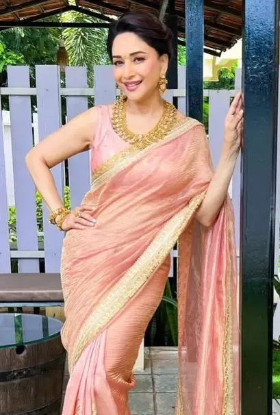 क्या माधुरी दीक्षित ने 'शेकी-शेकी' पर गुलाबी साड़ी पहनकर सबको चौंका दिया?