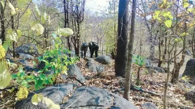 Maoists Seek Dialogue with Security Forces Amid Intensified Anti-Maoist Operations