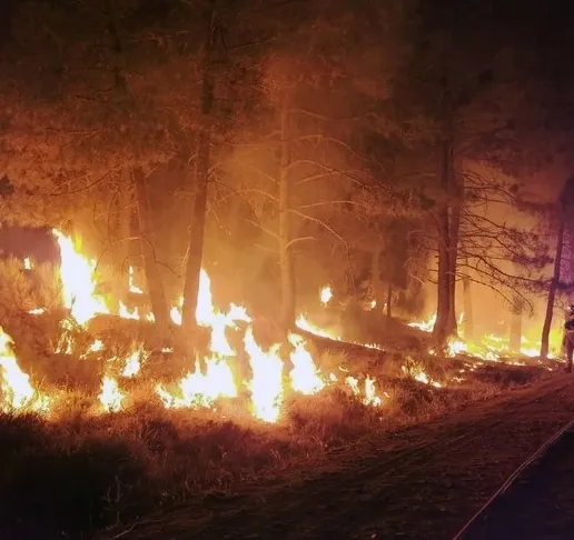 What is Causing the Massive Wildfire in California?