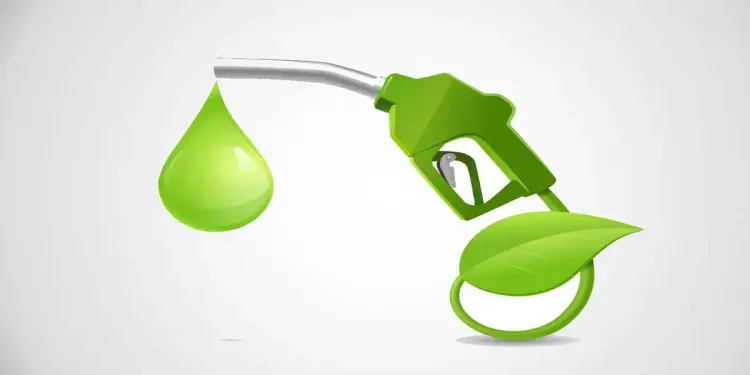 20% Ethanol-Infused Petrol: No Significant Vehicle Performance Issues, States Government