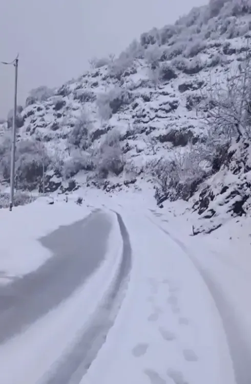 42 Workers Trapped in Avalanche in Uttarakhand; Extensive Rescue Efforts Underway