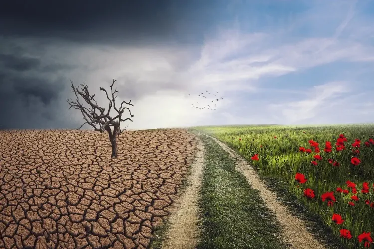 A Year of Unprecedented Heat Signals Urgency for Global Climate Action
