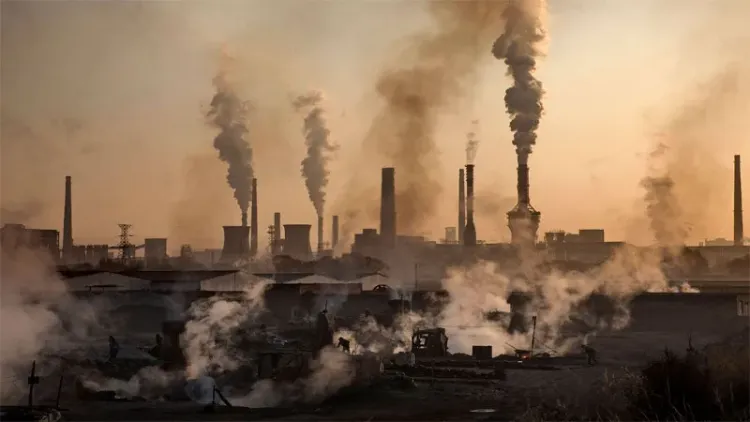 Action Window Tightens as 2024 Sets Record for Global Temperatures: Insights from Climate Expert