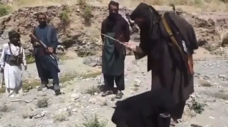 Taliban Executes Four Public Sentences Amid Global Outcry