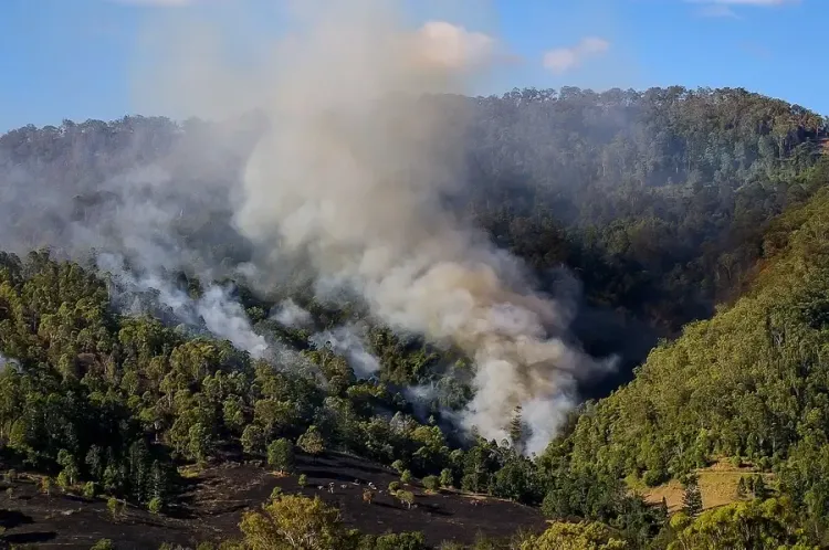 Tasmania's Bushfires: Evacuations Ordered as Danger Lurks