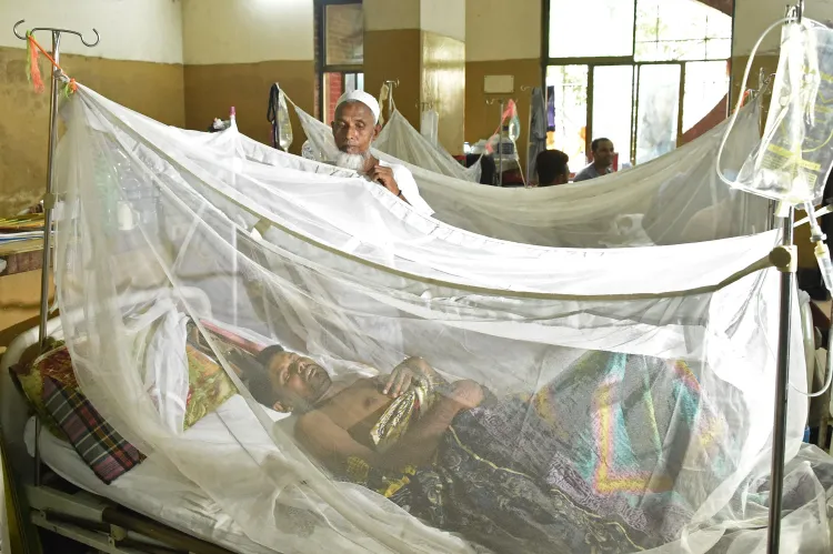 What Are the Latest Updates on Dengue Fatalities in Bangladesh?