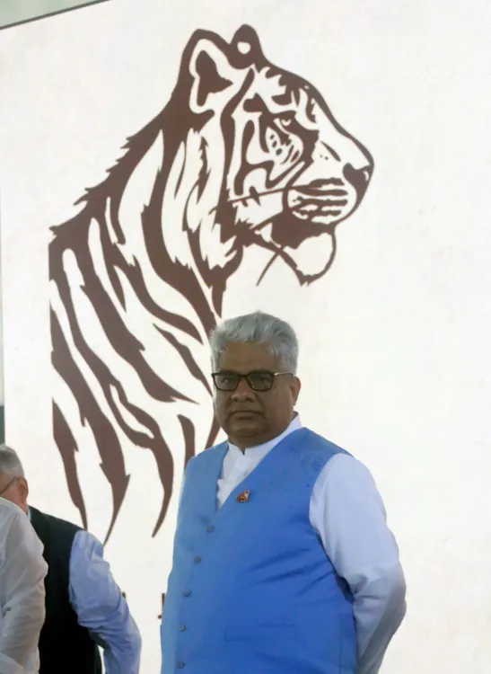 क्या भारत सरकार ने अंतर्राष्ट्रीय बिग कैट एलायंस को विशेषाधिकार दिया?