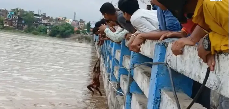 क्या फल्गु नदी का जलस्तर अचानक बढ़ने से संकट में पड़े 12 लोग सुरक्षित हुए?