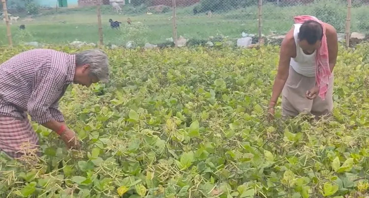 How Are Jamui Farmers Benefiting from the PM-KISAN Scheme?