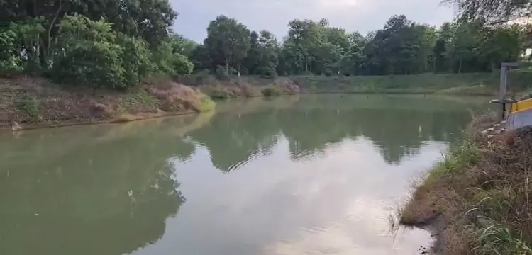 क्या प्रधानमंत्री मत्स्य संपदा योजना बिहार में मत्स्य पालन और रोजगार को बढ़ावा दे रही है?
