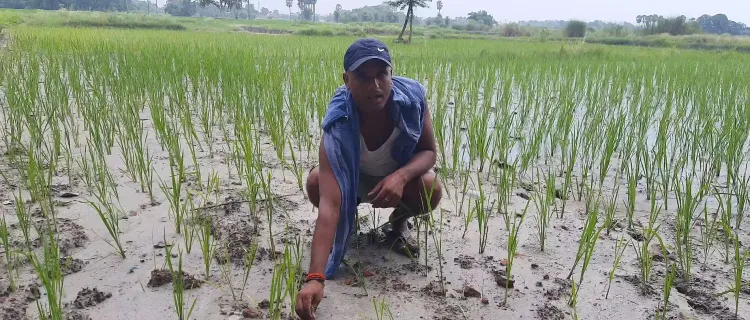 क्या वैशाली में केंद्र की योजना से जयकिशुन को मिला पक्का घर और रणधीर कर रहे आधुनिक खेती?