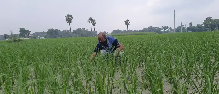 क्या बिहार के वैशाली में पीएम किसान योजना ने किसानों को आत्मनिर्भर बनाया?